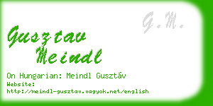 gusztav meindl business card